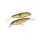 YO-ZURI SASHIMI JOINTED SW FLOATING 100mm - CMBK color code Wobbler