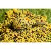 Special Mix 2,5mm Liver Method Carp Pellet 500gr