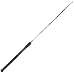 Sunset Aiden SW 1.20m 60-120gr 1-piece Boat Rod