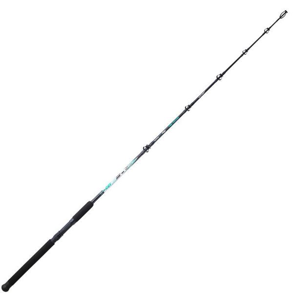 Sunset Cayman SW 1,65m 30lbs 1 piece Trolling Bot with boat
