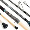 Sportex Top Cat CS-2 Vertical 1.92m 100-300gr 2-Piece Catfish Rod