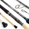 Sportex Top Cat CS-2 Spin 2.45m 70-90gr 2-Piece Catfishing Rod