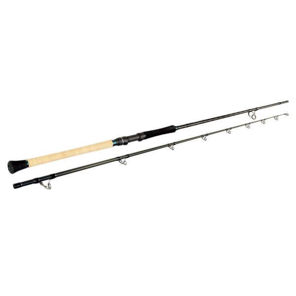 Sportex Top Cat CS-2 Buoy 3.05m 200-500gr 2-Piece Catfishing Rod