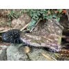 TF Gear Primal X-Trail Terrain Boots 42