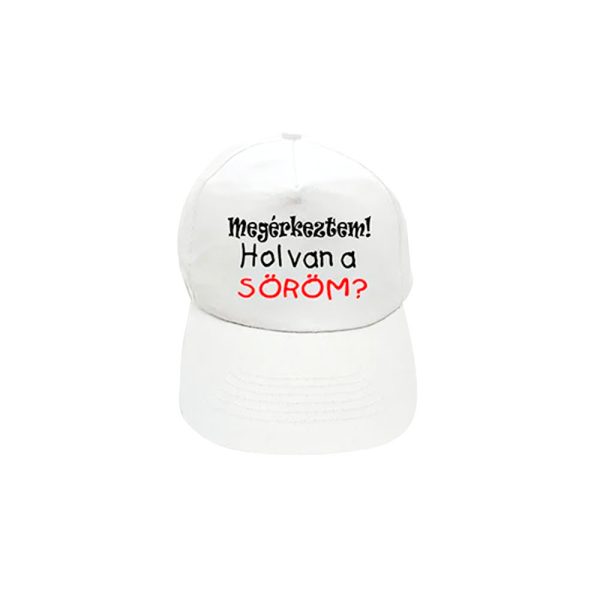 Baseball Cap I Arrived Where My Beer Is