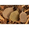 Korda Textured Square Pear Swivel Bojlis Lead 56gr