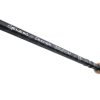 Mikado NSC Power 5-30gr 4,20m 3 piece Match Bot