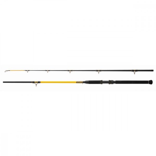 BOT WFT NEVER CRACK CATFISH BOAT 250-1000G 3,00M - Catfish rod