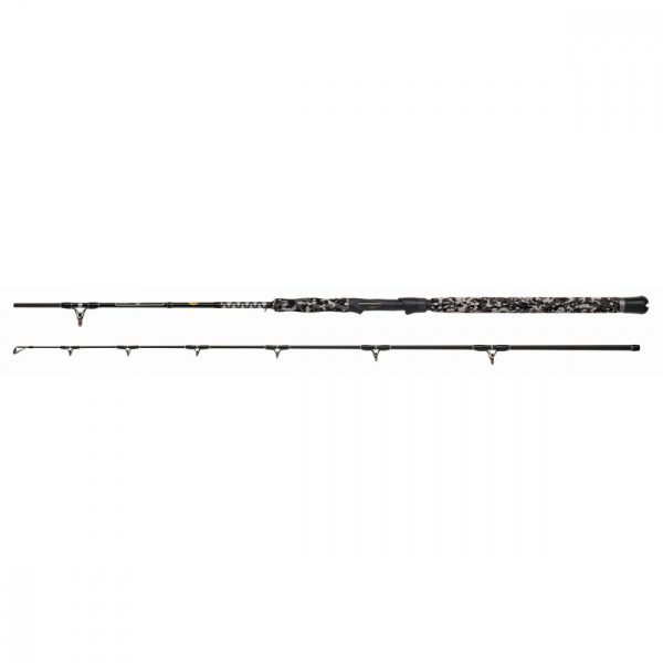 WFT Big Cat Spin Cat 3,00m 20-190gr 2 piece catfish rod