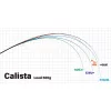Yamaga Blanks Calista 76ML/TJ 2,293m 20gr 2 Piece Spinning Rod